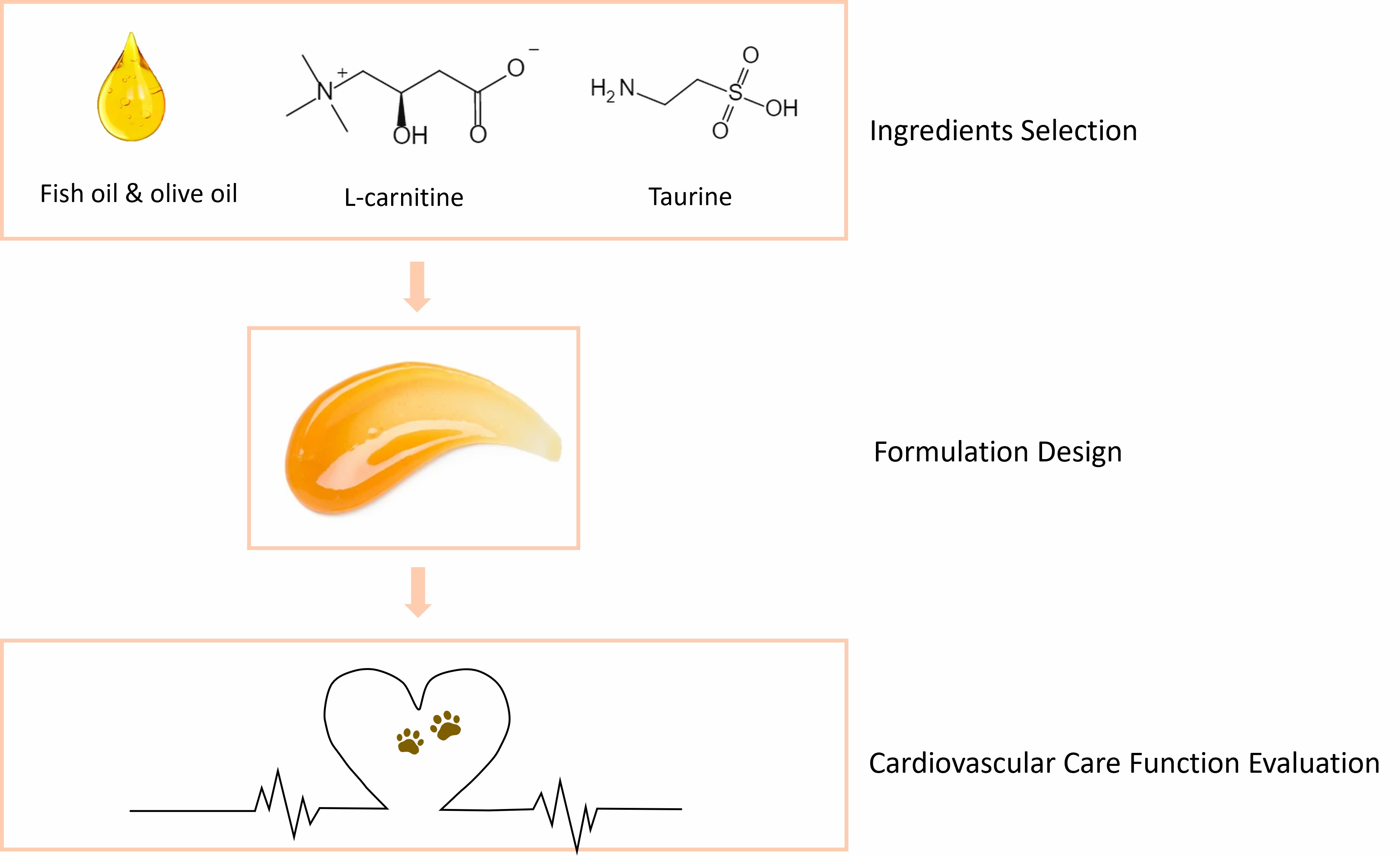 Veterinary Cardiovascular Care Nutrition Gel Development Process - CD Formulation
