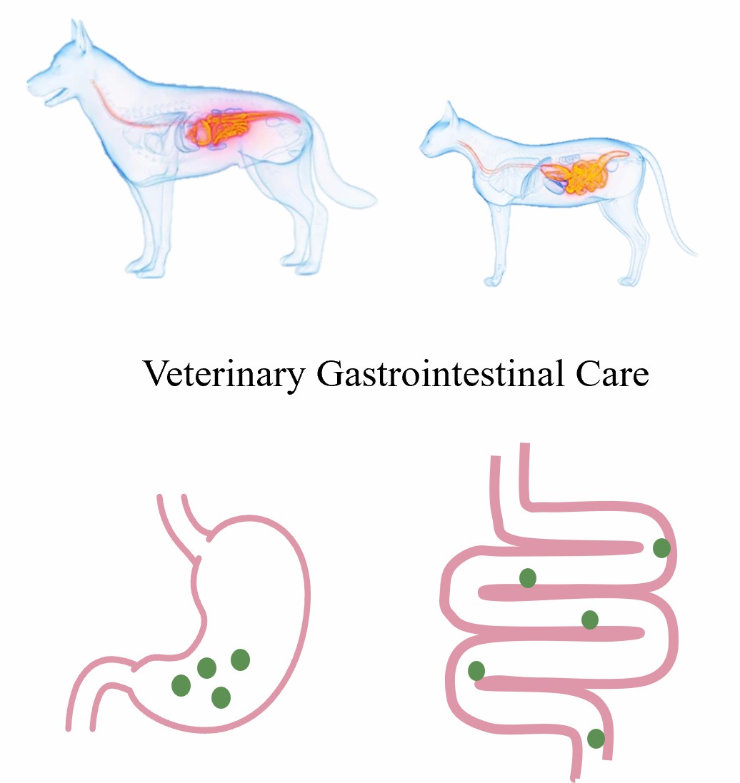 Veterinary Gastrointestinal Care – CD Formulation