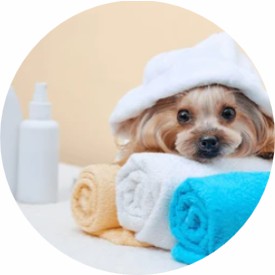 Pet Multifunctional Shampoo Customization