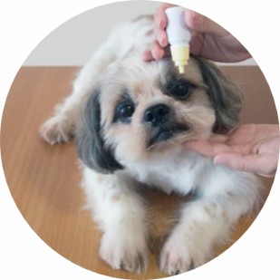 Pet Cleaning & Disinfection Product Customization
