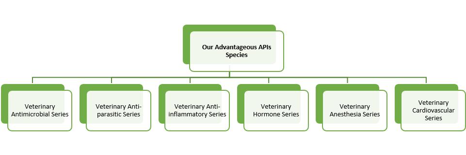 Veterinary APIs Species – CD Formulation