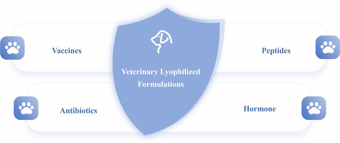 Veterinary Lyophilized Formulations Development – CD Formulation