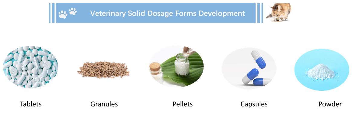 Veterinary Solid Dosage Forms Development - CD Formulation