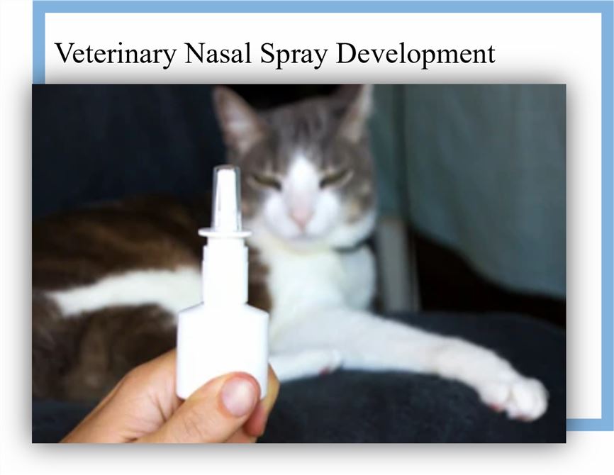 Veterinary Nasal Spray Development - CD Formulation