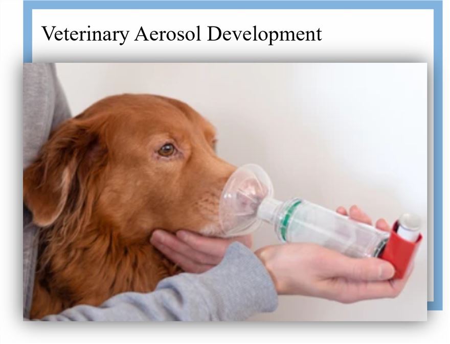 Veterinary Aerosol Development - CD Formulation